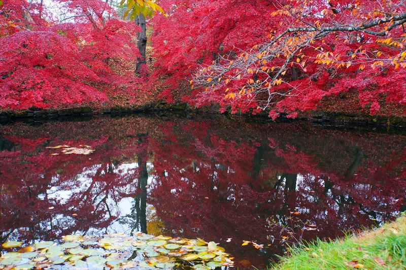 1038_弘前公園_青森