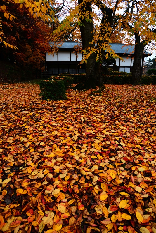 1040_弘前公園_青森