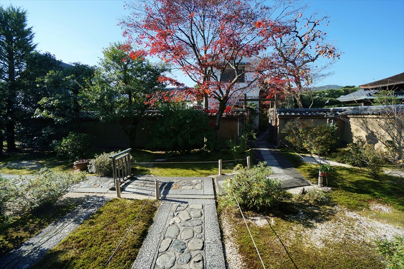 1048_洛北 大徳寺・芳春院_京都