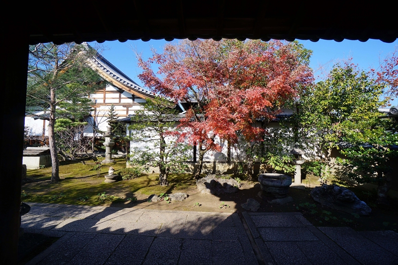 1061_洛北 大徳寺・芳春院_京都