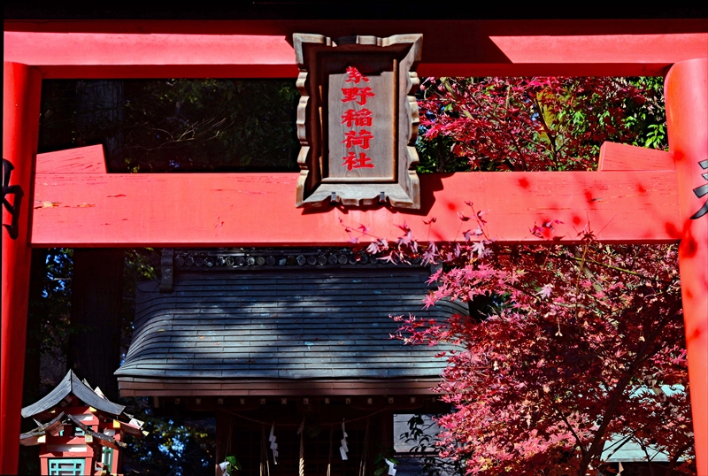 1020_洛北 今宮神社_京都