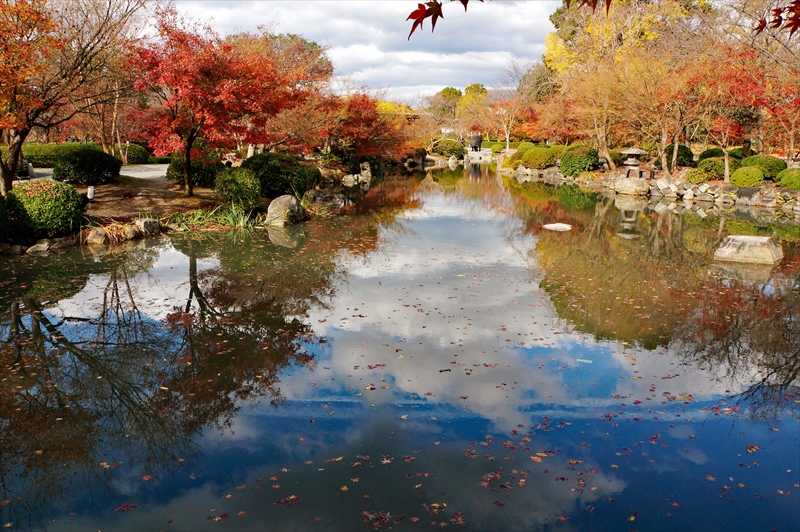 1117_洛中 東寺_京都