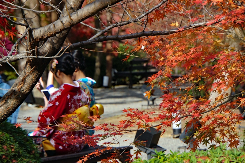 1122_洛中 東寺_京都