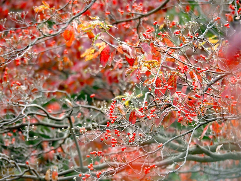 1156_横浜市新羽町_神奈川