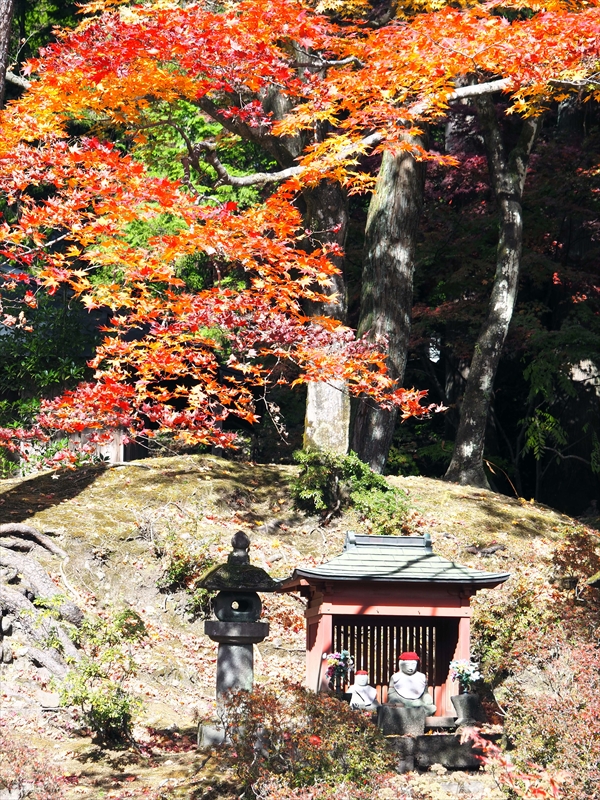 1015_日光山 輪王寺_栃木