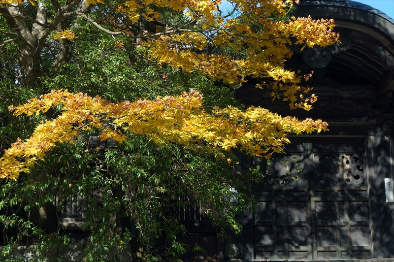 1003_日光市内_栃木