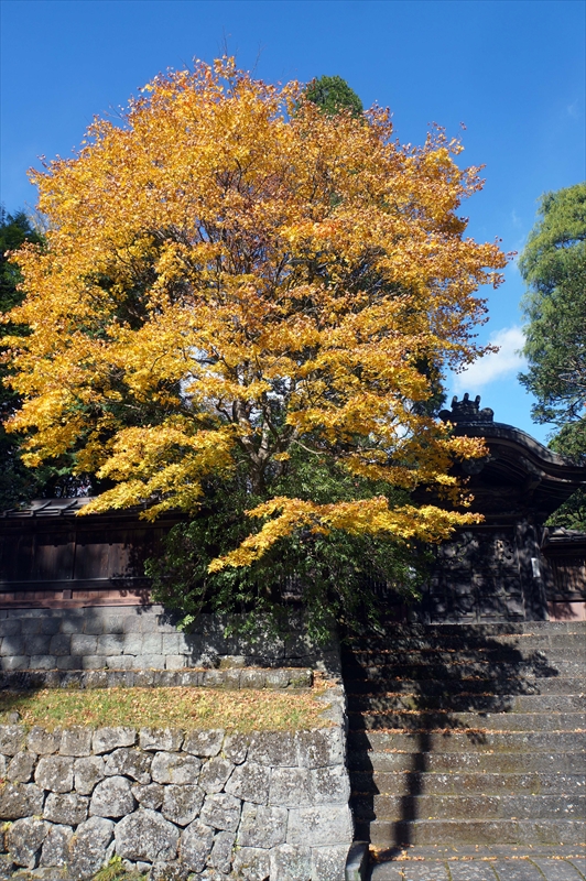 1004_日光市内_栃木