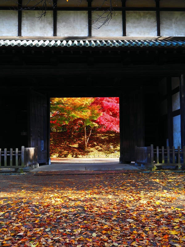 1058_弘前公園_青森