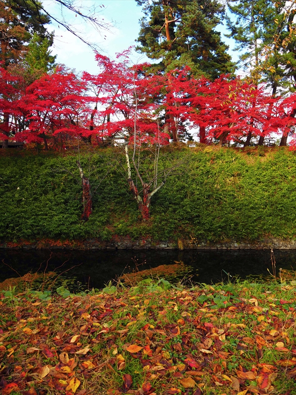 1061_弘前公園_青森