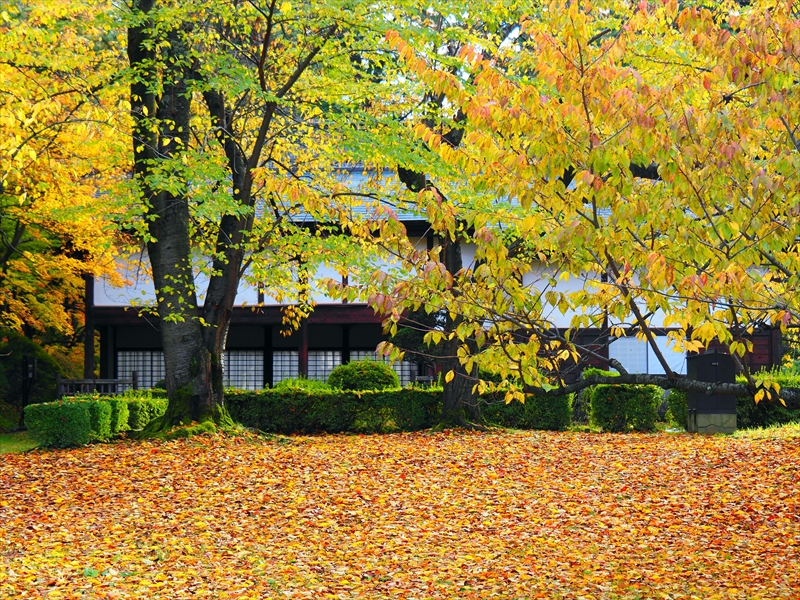 1066_弘前公園_青森