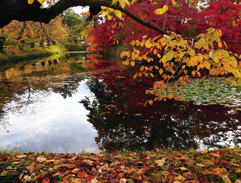 1069_弘前公園_青森