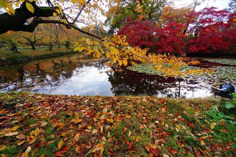 1071_弘前公園_青森