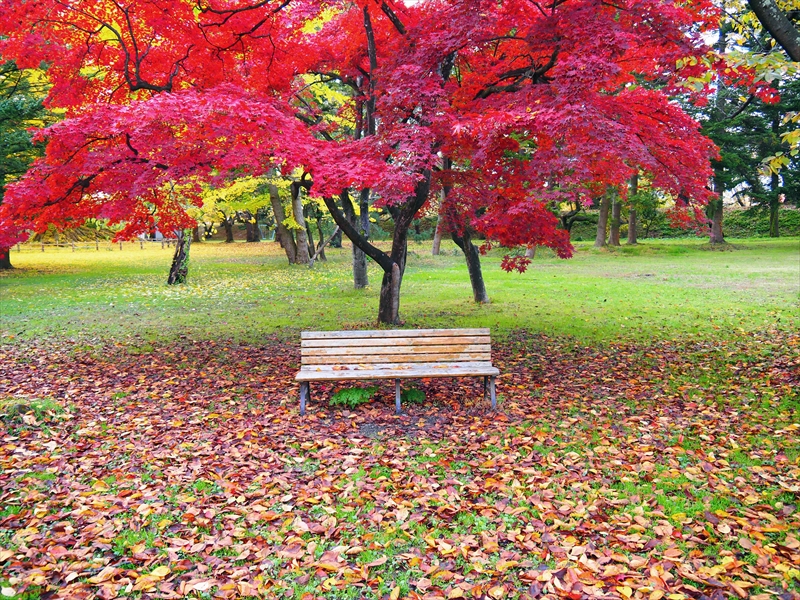 1079_弘前公園_青森