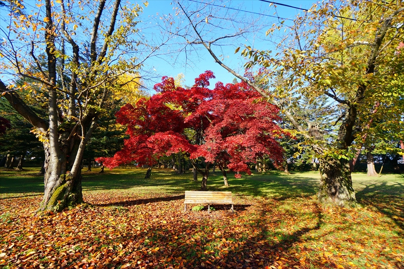 1087_弘前公園_青森