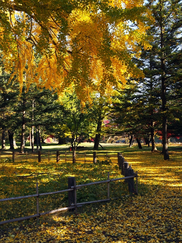 1089_弘前公園_青森