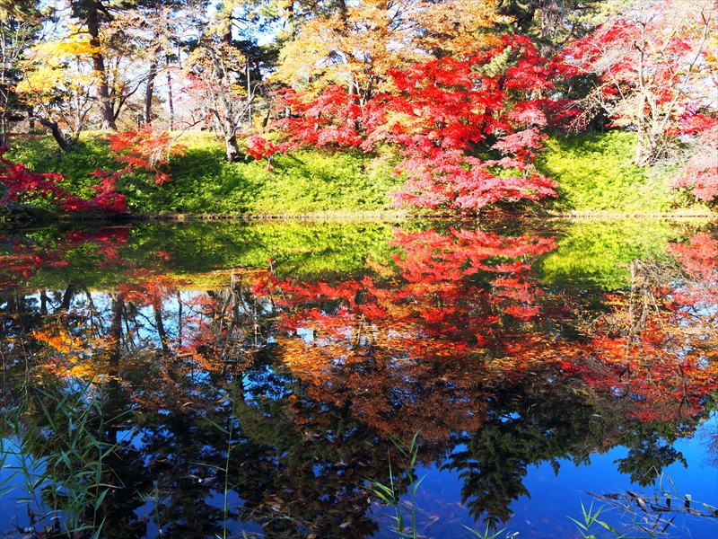 1092_弘前公園_青森