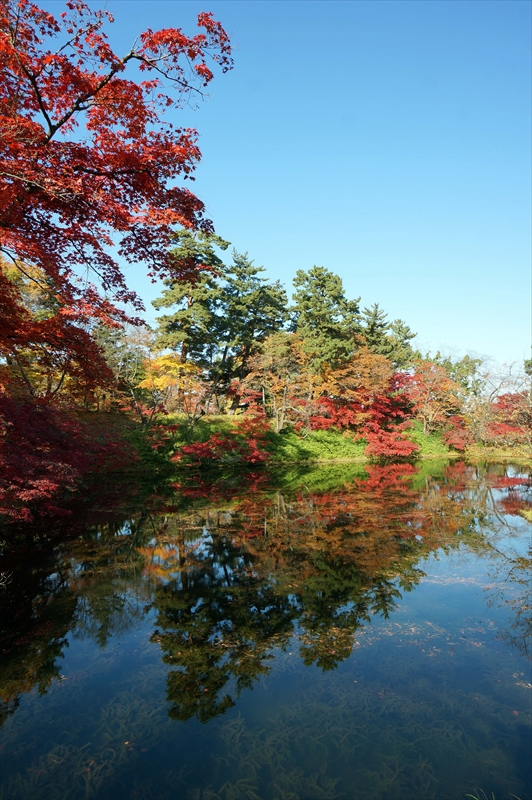 1096_弘前公園_青森