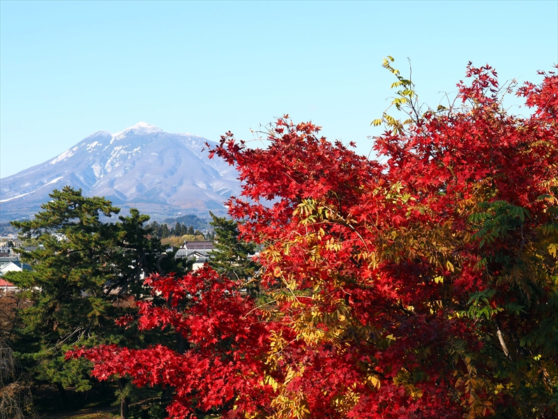 1105_弘前公園_青森