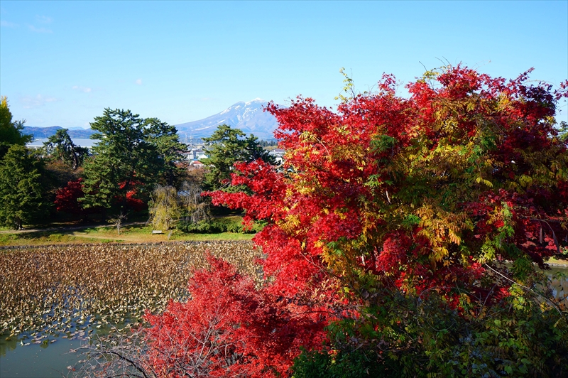 1106_弘前公園_青森