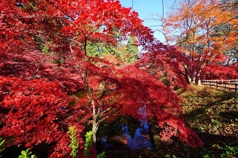1112_弘前公園_青森