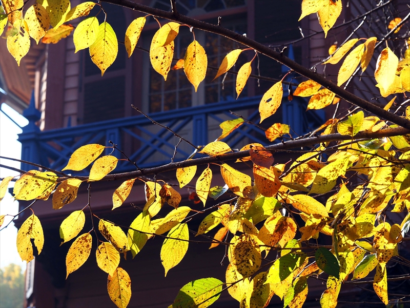 1018_霞城公園_山形