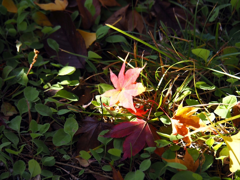 1039_上山城_山形