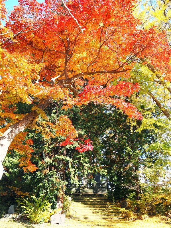 1041_上山城_山形