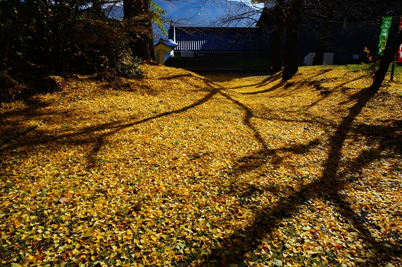 1043_上山城_山形