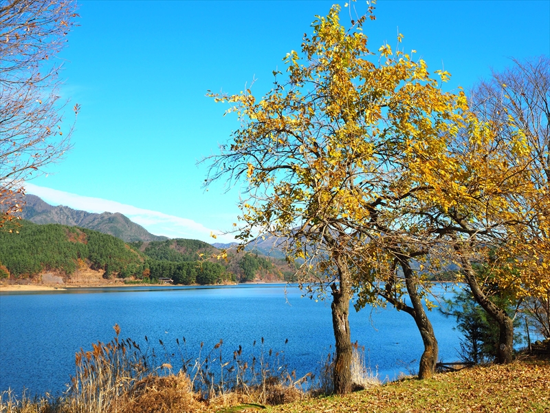 1015_河口湖_山梨