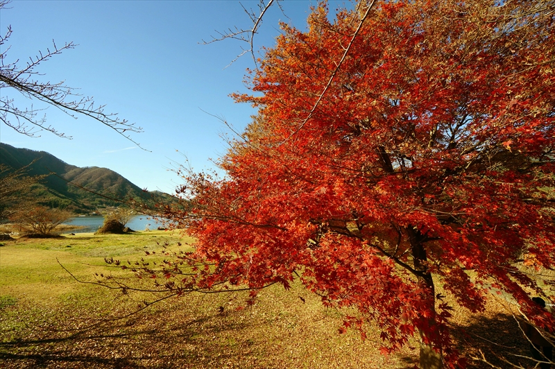 1016_河口湖_山梨