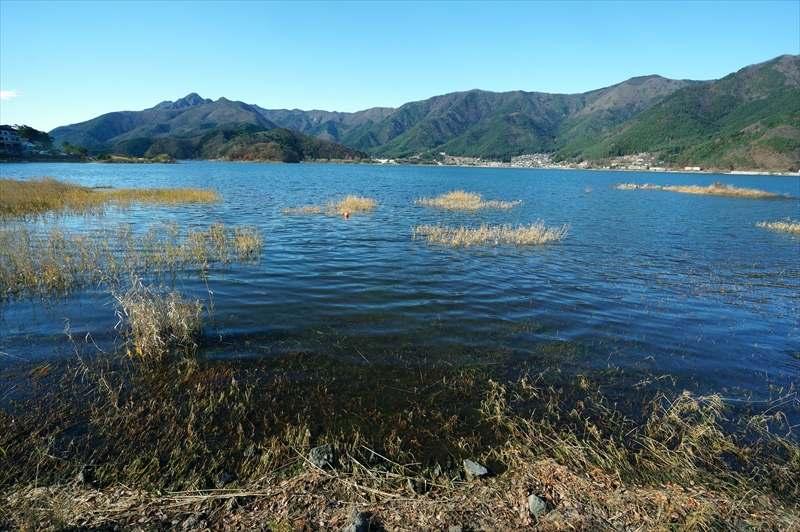 1017_河口湖_山梨