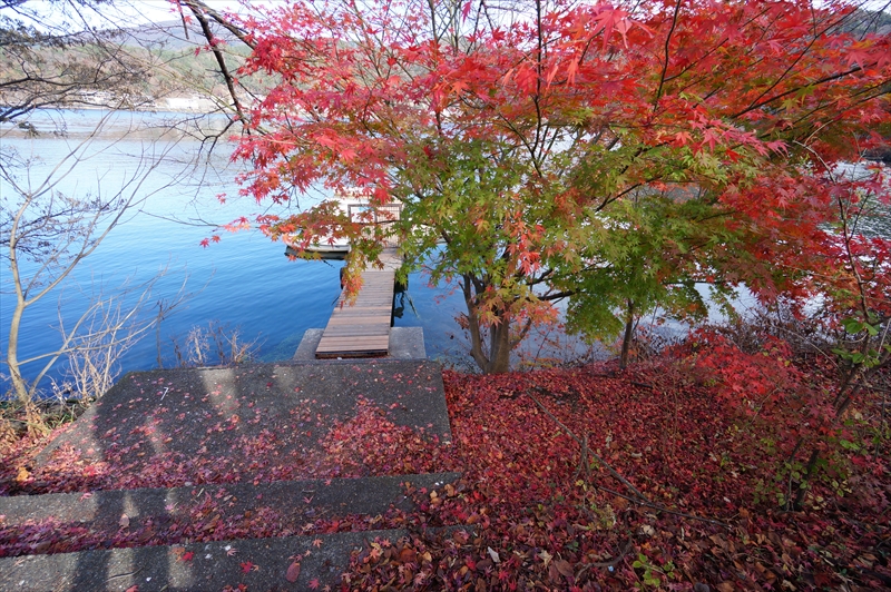 1018_河口湖_山梨