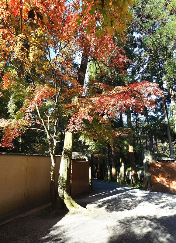 1069_洛東 今熊野観音寺_京都