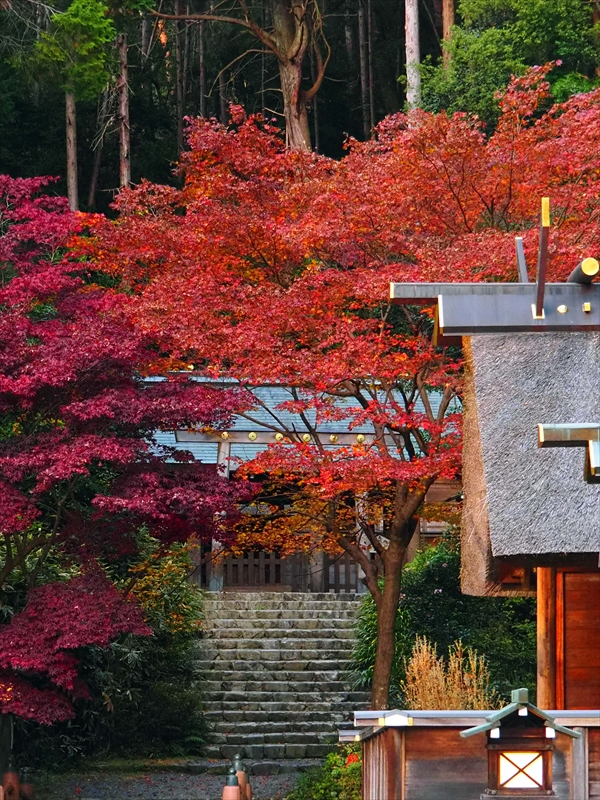 1251_洛東 泉涌寺_京都