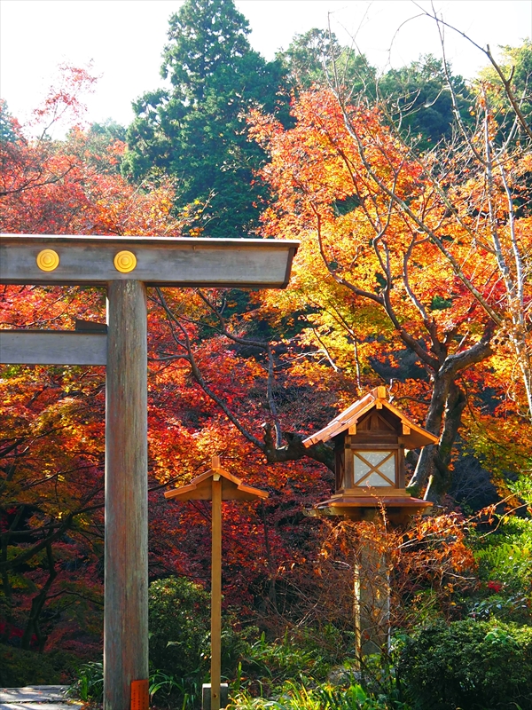 1184_洛東 大神宮_京都