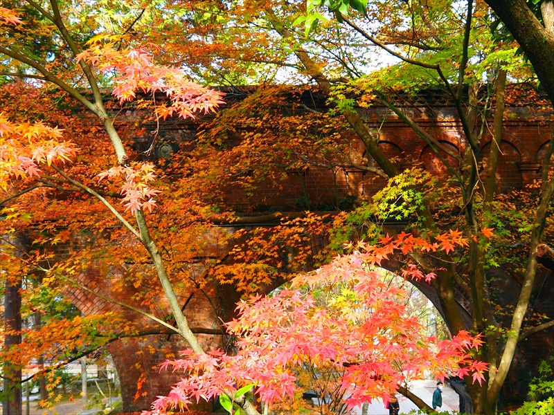 1118_洛東 南禅寺_京都