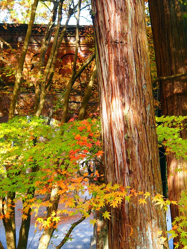 1119_洛東 南禅寺_京都