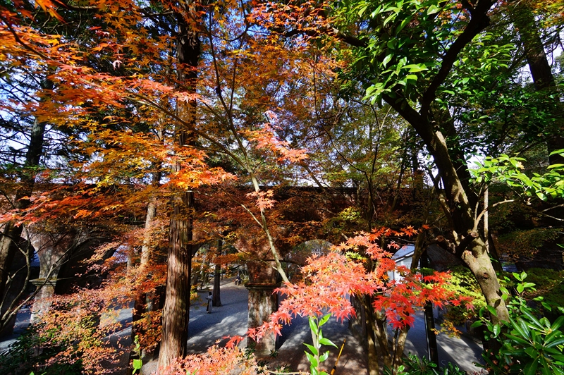 1120_洛東 南禅寺_京都