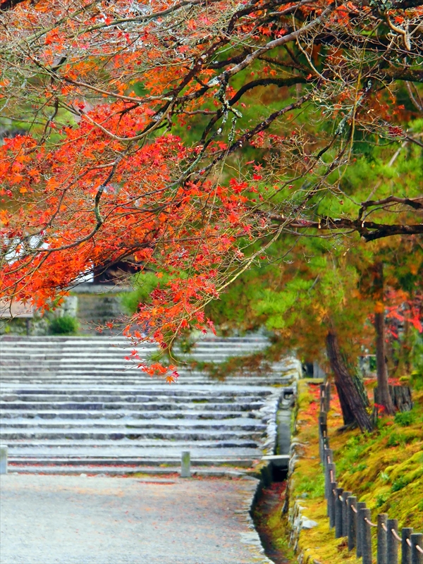 1122_洛東 南禅寺_京都