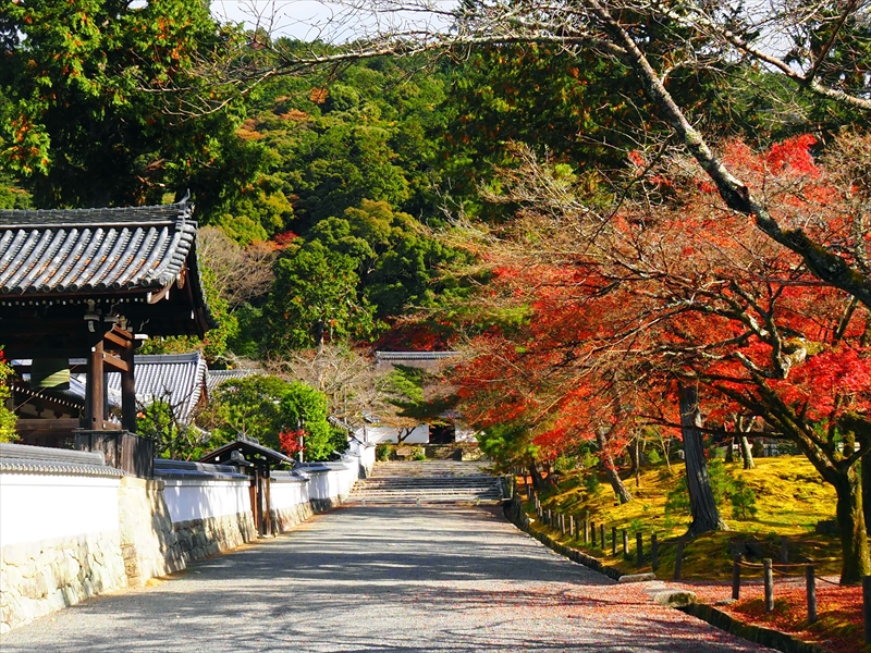 1123_洛東 南禅寺_京都