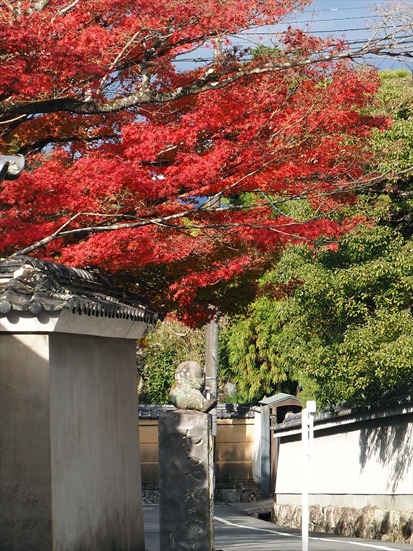 1125_洛東 南禅寺_京都