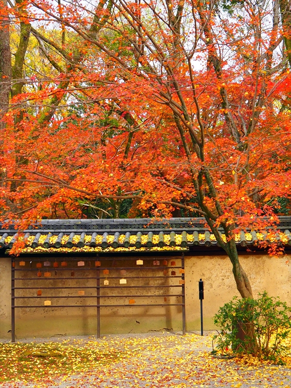 1016_洛中 河合神社_京都