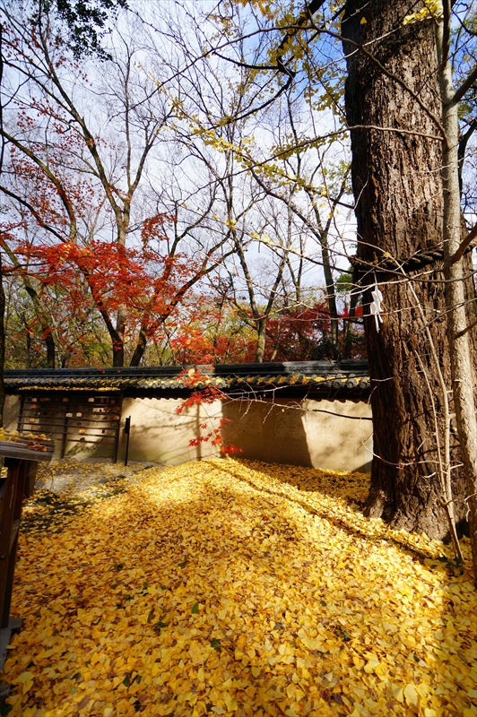 1021_洛中 河合神社_京都