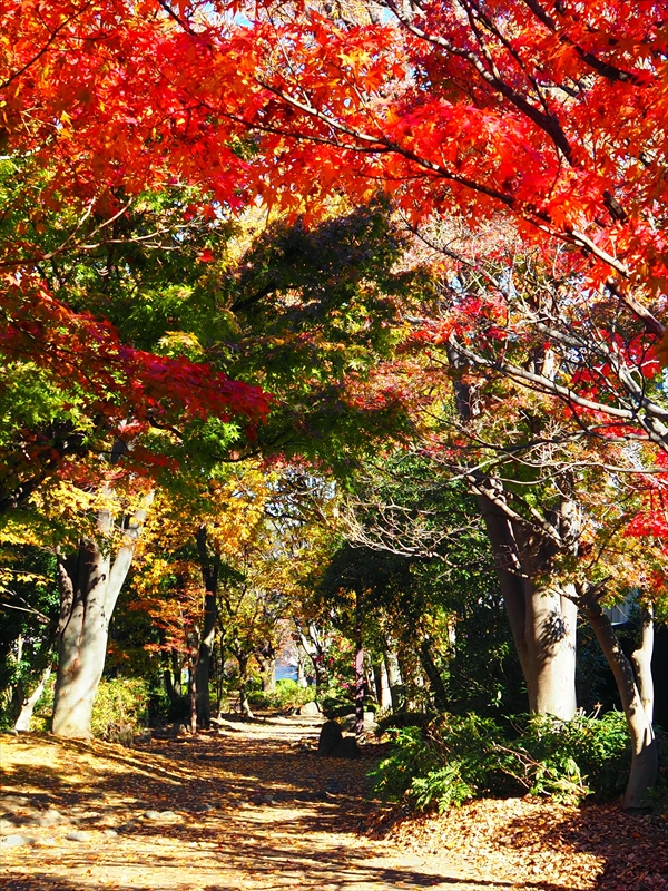 1180_横浜市新羽町_神奈川