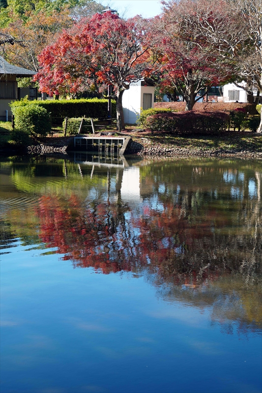 1028_偕楽園_茨城