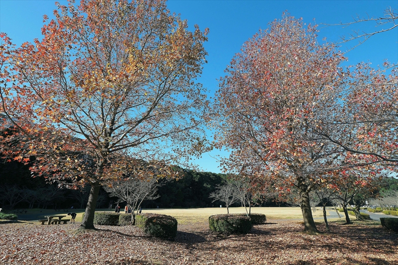 1033_偕楽園_茨城