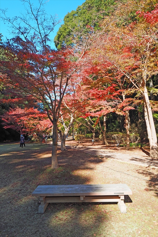 1058_偕楽園_茨城