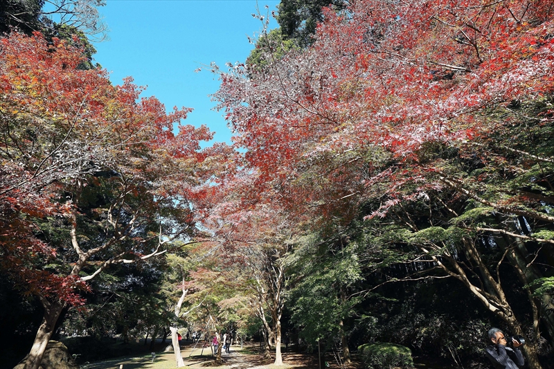 1065_偕楽園_茨城