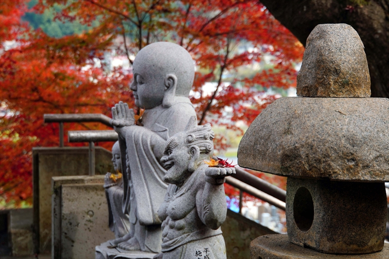 1006_永源寺_茨城