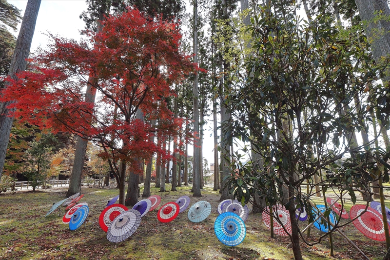 1054_瑞巌寺_宮城